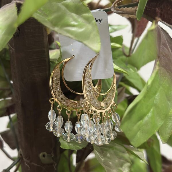 Beautiful moon shape earrings for womens