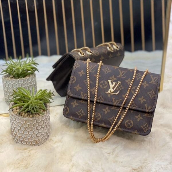 Beautiful LV bag made up of beautiful leather for women